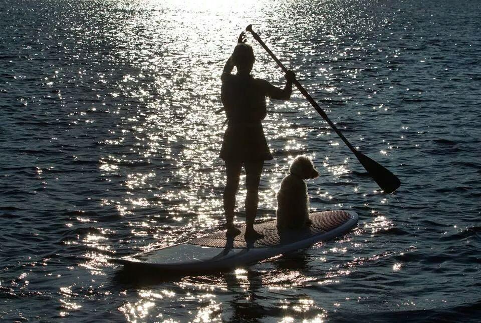 Algonquin Highlands Little Hawk Resort & Marina מראה חיצוני תמונה