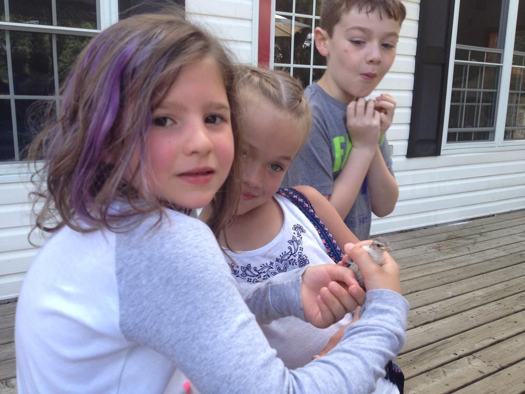Algonquin Highlands Little Hawk Resort & Marina מראה חיצוני תמונה